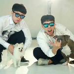 묘하게 각자 <b>주인</b> 닮았다는 반려견