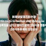 [댓글부탁해] 헐 ㅁㅊ 중국노래 왤케 좋냐?