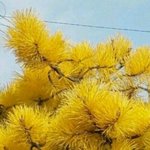 [꼭조언부탁] 전남친 프<b>사가</b> 이건데 뭘까요