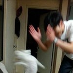 [방탄소년단] 머글) 아미들아 이거 정국이야??