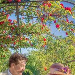 [댓글부탁해] 이거 원본 배경 있는사람 제발<b>재발</b> ㅠㅠㅠㅠ