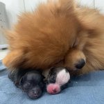 [모두드루와] 까빠들은 왜 있음?