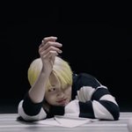 [드루와] 최연준 고양이력 <b>만렙</b>