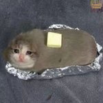 [드루와] 나보다 몸 개같은사람 없을듯