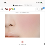 [추반] <b>웜톤</b> 블러셔 추반 좀