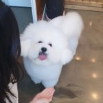 [EXO] <b>밑밑</b>에 애가 부탁해서 적어봄