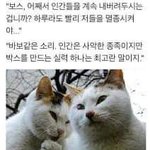 나 주변에서 연예인 하라는 이야기 많이 듣는데