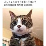 [드루와] 너네는 <b>개학</b>하면 뭐 하고싶어?