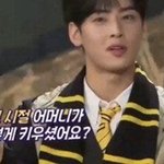 엄하셨다는 차은우 어머니