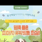 [강아지] <b>산책</b>시 유박비료 조심하세요