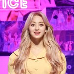 트와이스 이번 머리색 진짜 이뿌다