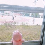 [19] 편의점 기프티콘 꼭 그거만 먹어야 돼??