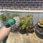 [드루와] <b>식물</b>들 물 주기 잼