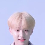 연애혁명도 에이<b>틴</b>처럼 <b>셉틴</b> 노래 나올듯