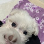 <b>아가</b> 눈 좀 봐주실 수 있나요..?