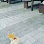 <b>선녀</b>님 죄송해요ㅠㅠ