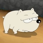 아내의유혹 <b>정교</b>빈아빠 땡구닮음