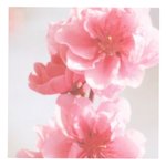 [댓글부탁해] 내가 잘못해서 헤어졌는데 잡는거 <b>오바</b>야?