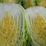 [밭딤] <b>농사</b>꾼,덜,,오늘,재,배한 배추 함 보,고 가슈^^*