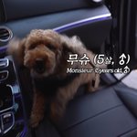 [EXO] <b>세훈이</b> 새로운 가족ㅠㅠㅠㅠㅠㅠㅠ