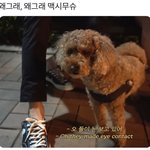 [EXO] 뻘하게 웃기넼ㅋㅋㅋㅋㅋㅋㅋ