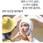 [세븐틴] 세븐틴 <b>요리</b>