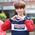 [NCT] <b>재민</b>이 하뚜 보고 가세용
