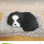 당근<b>마켓</b> 보는데 ㄹㅇ 개인줄...