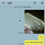 [댓글부탁해] 애두라 나 컴버스 <b>산지</b>얼마 안되서그런데