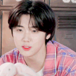 진심 크래비티 <b>청량</b> 한번만 해줬으면