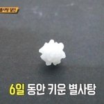 [댓글부탁해] 지금 반팔 오<b>반가</b>?