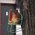 얘들아 내 성적 좀 봐줘