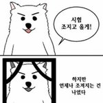 [댓글부탁해] 지금 고삼이 국어개념 덜했는데