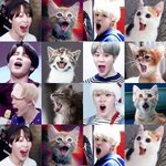 [모두드루와] 방탄 <b>지민이</b>는 강냥이