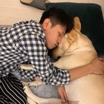 [댓글부탁해] <b>쿠션</b> 추천해주면 길다가 오만원 주움