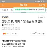 [드루와] 정부, 고3 먼저 등교 <b>검토</b>....