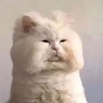 [19] 남친이 <b>키스</b>하는데 ㄱㅅ을 안만짐