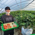 [댓글부탁해] 방탄 <b>떡밥</b> 조카 많다...ㄹㅇ