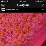 [EXO] 우연히 들어갔는데 백현이 인별