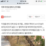 ㅅㅂ 이글 누가봐도 어그로일줄 알았는데