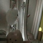 <b>아늑</b>한 베란다에 앉아서 아침을 만끽중