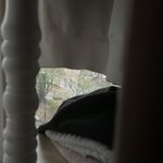 틈으로 보이는 자연~**