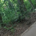[드루와] 엄마몰래 등산⛰다녀온 후기 다들어와!(<b>통영</b> 미륵산)