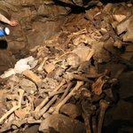 [이것좀봐줘] [경산실화] 경산 코발트 학살 사건