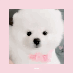 [드루와] <b>울</b> <b>애기</b> 기욥지