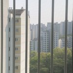 거실에서 창문열고 넷<b>플</b> 보고 있으니까 넘 좋다