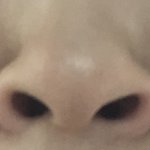 [댓글부탁해] (극혐주의)코 나보다 못생겼으면 <b>레알</b> 10만원준다