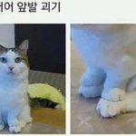 [드루와] 이름 나보다 특이한 사람 있니