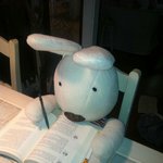 [댓글부탁해] 나만 발라드랑 인디감성 노래 싫냐