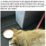 [드루와] 내 기준 아이돌 <b>미담</b> 갑